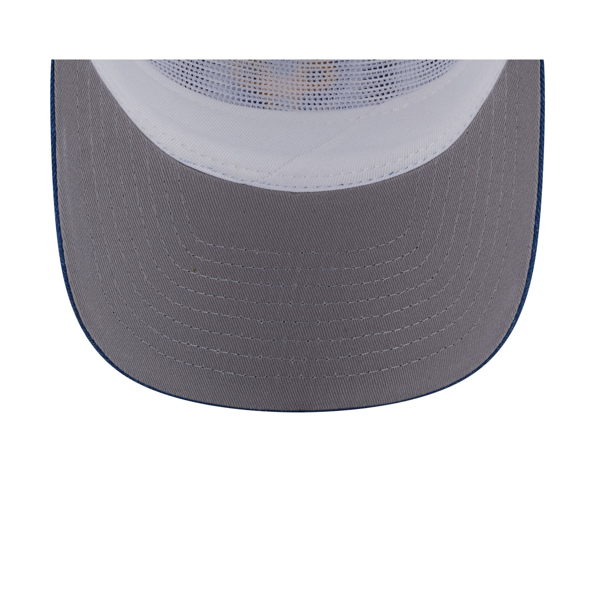 Chicago Cubs Herringbone Team Colors 19TWENTY Trucker Hat