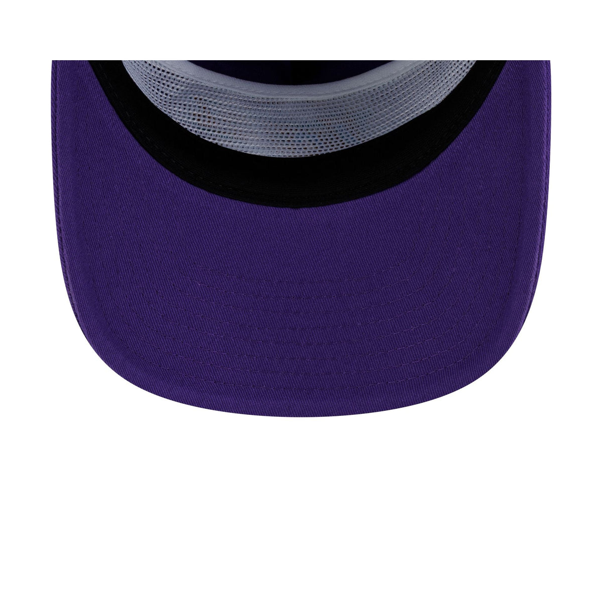 Utah Jazz Hardwood Classics 19TWENTY Snapback Hat