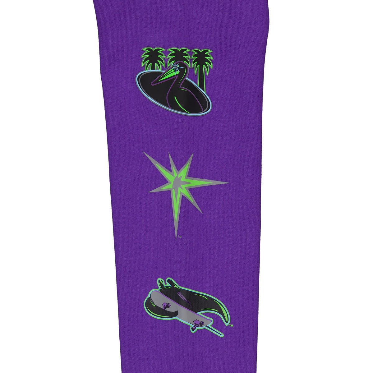 Tampa Bay Rays City Connect Purple Hoodie