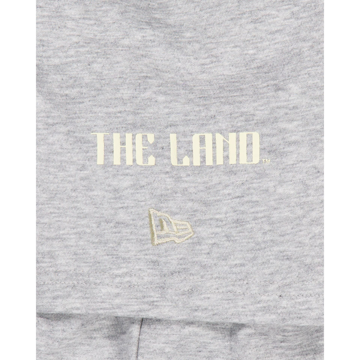 Cleveland Guardians City Connect Gray T-Shirt