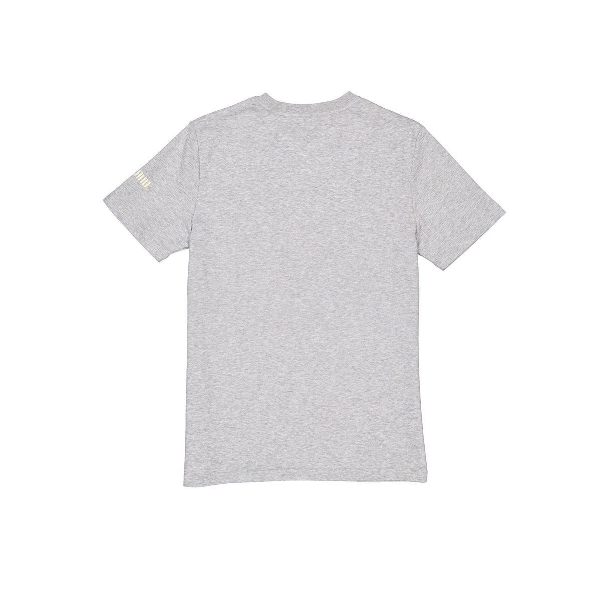 Cleveland Guardians City Connect Gray T-Shirt