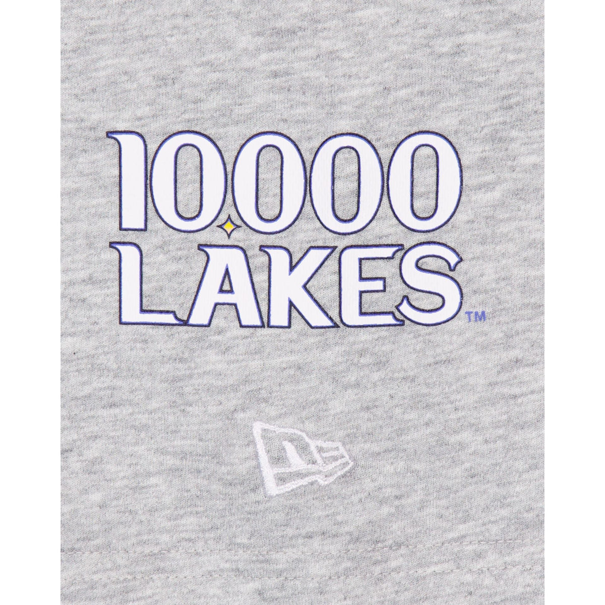 Minnesota Twins City Connect Gray T-Shirt