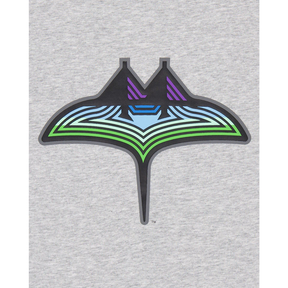 Tampa Bay Rays City Connect Gray T-Shirt