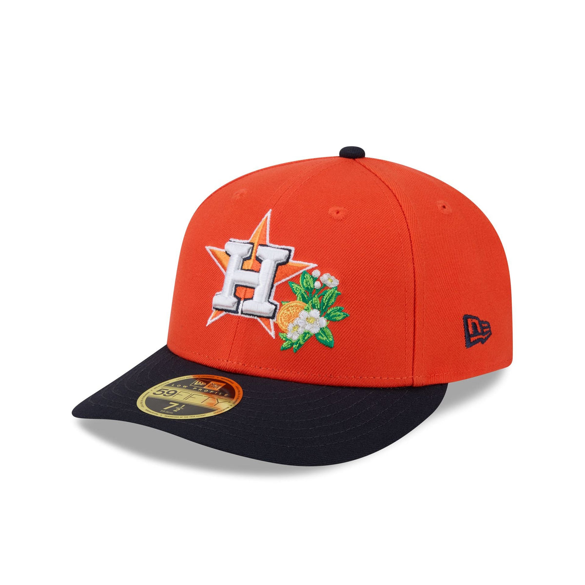 Houston Astros 2026 Spring Training Low Profile 59FIFTY Fitted Hat
