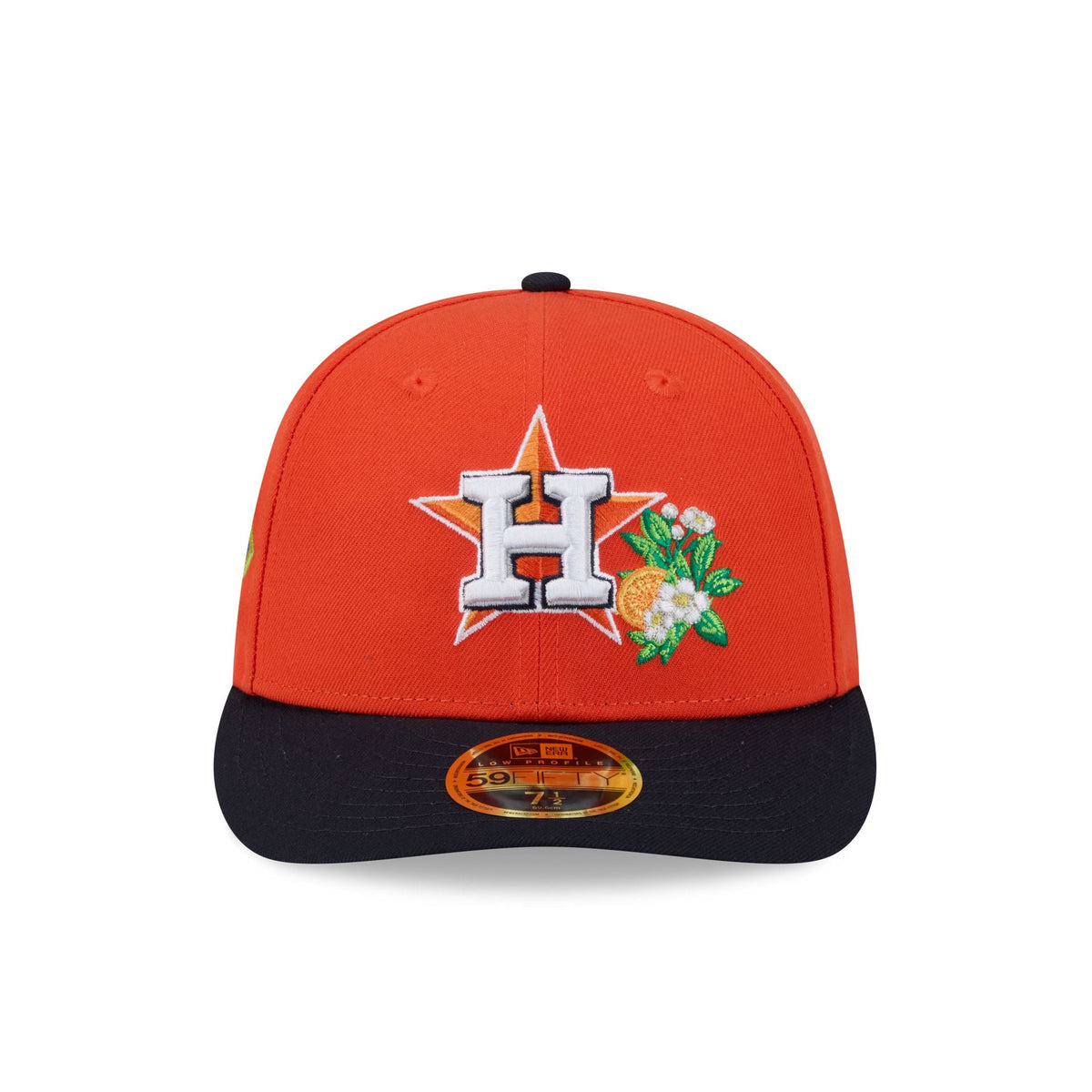Houston Astros 2026 Spring Training Low Profile 59FIFTY Fitted Hat