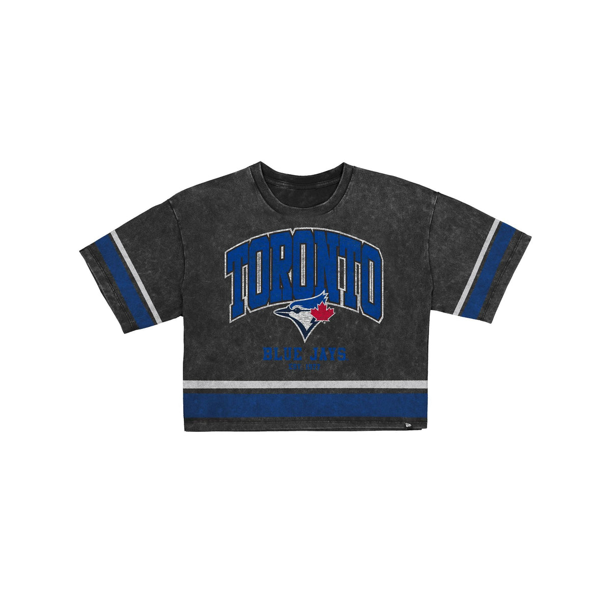 Toronto Blue Jays Women's Vintage Stripe Cropped T-Shirt