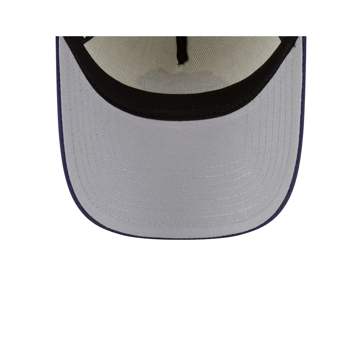 Tampa Bay Rays Mini Mascot 9FORTY A-Frame Snapback Hat